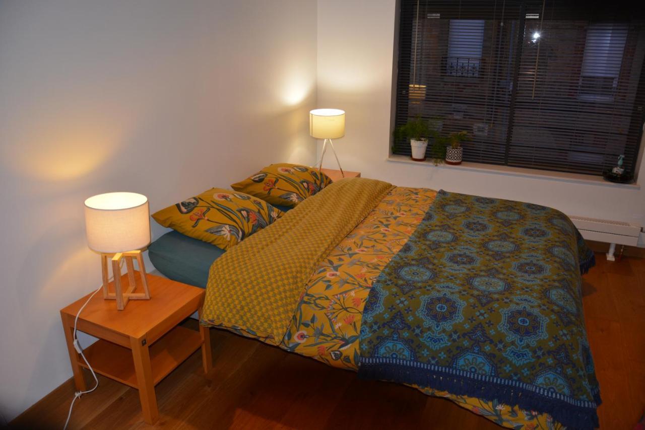 Appartement Mézières, Ravissante Suite. Charleville-Mézières